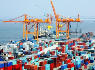 Vướng mắc thủ tục hải quan vì... 1 quy định nhiều bộ quản