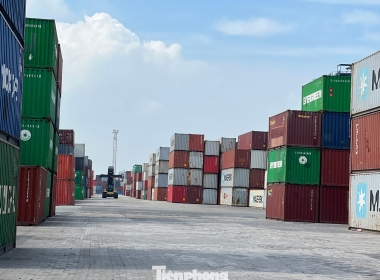 1.200 container hàng hóa ùn ứ tại cảng Cát Lái