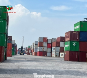 1.200 container hàng hóa ùn ứ tại cảng Cát Lái
